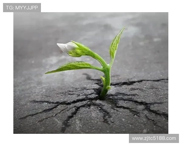 浓眉坚定信念：自我反思是解决问题的关键所在