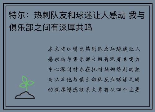 特尔：热刺队友和球迷让人感动 我与俱乐部之间有深厚共鸣